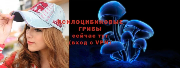 не бодяженный Алексин
