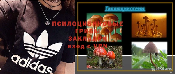 крисы Верея
