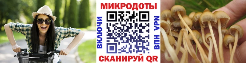Галлюциногенные грибы мицелий Лахденпохья
